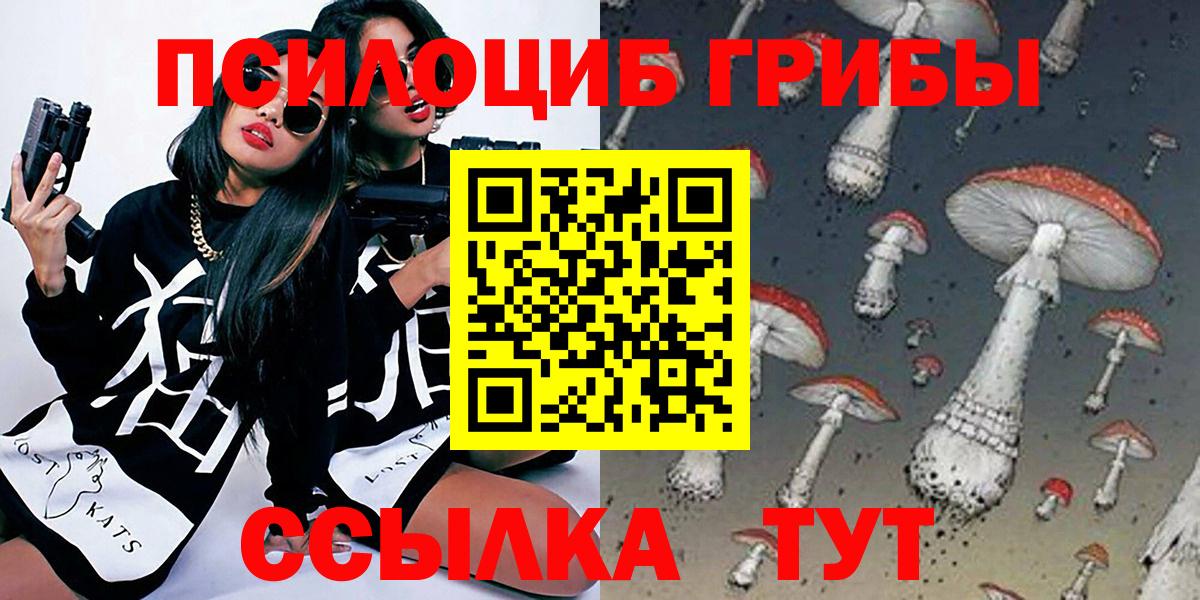Галлюциногенные грибы Cubensis Заволжье