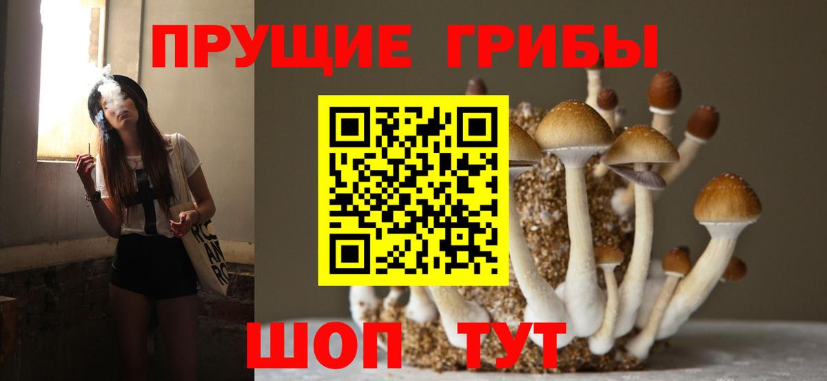 Заволжье  Псилоцибиновые грибы ЛСД  Галлюциногенные грибы мухоморы  Вход с VPN 